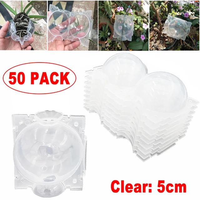 50PCS Clear