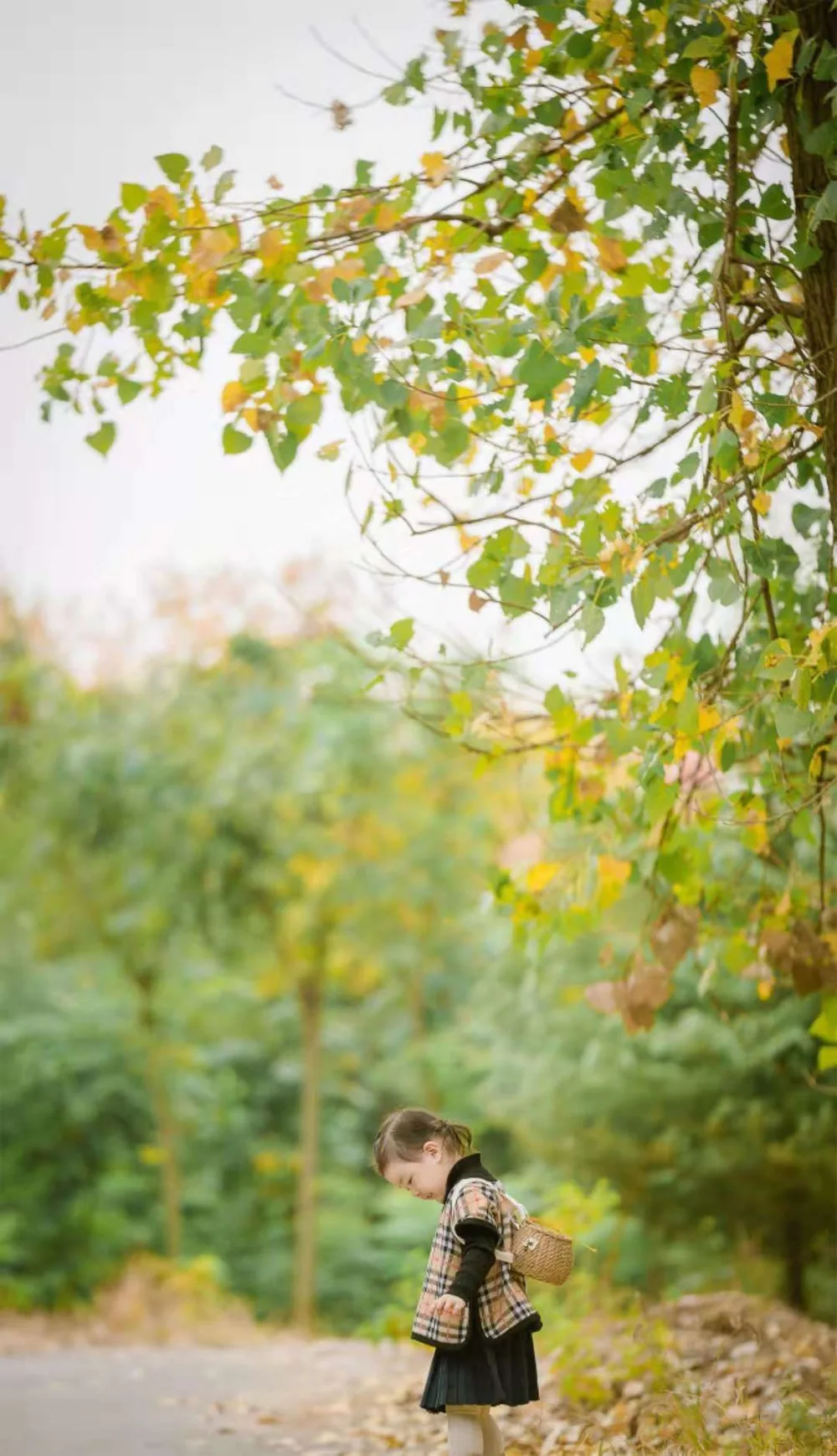 微信图片_201811190907443