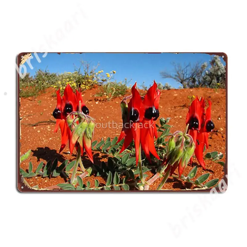 Sturts Desert Pea-Южная Австралия металлические знаки индивидуальный Настенный декор