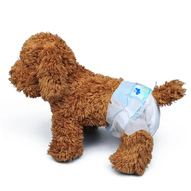 male wrap dog diapers