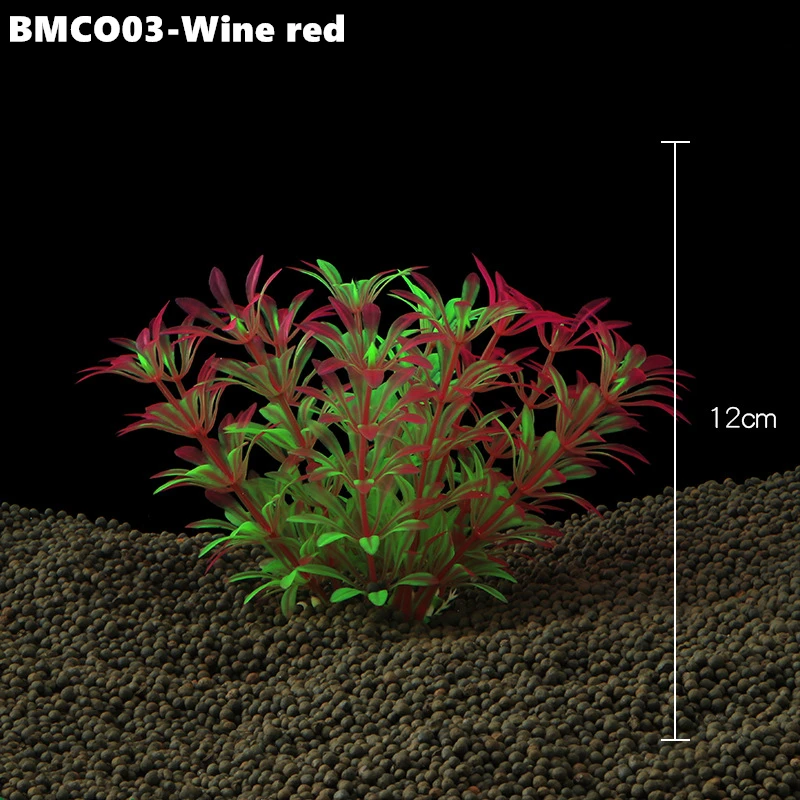 BMCO03 (12)