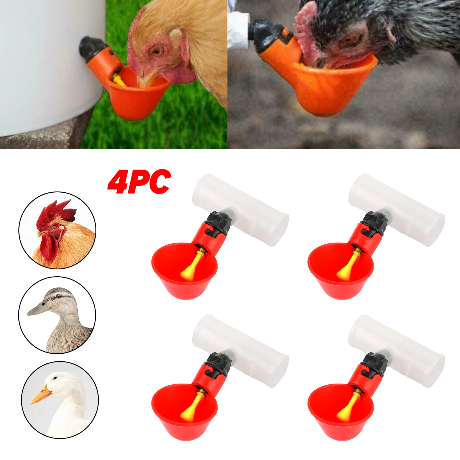 Slide image 3f23da5cd98746448b9106cbfc1d742d