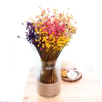 

50pcs Happy Flower Real Natural Small Dried Flower Bouquet Dry Flowers Press Mini Decorative Photography Photo Backdrop Decor