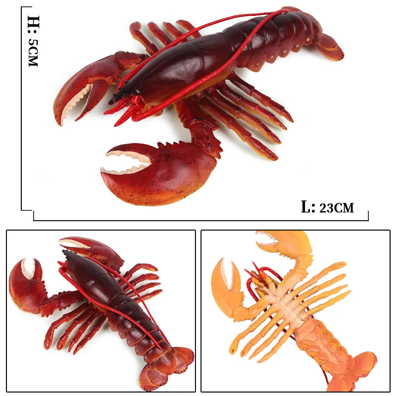 Oenux Моделирование большой размер Морская жизнь Langouste Омаров животные модель океан животное Бостонский Омаров Фигурки игрушки детский подарок