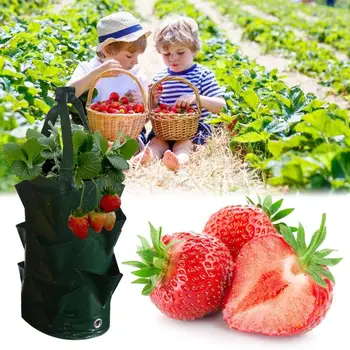 

Garden Strawberry PE Hanging Grow Planting Bag Plant Root Pot Pouch Container