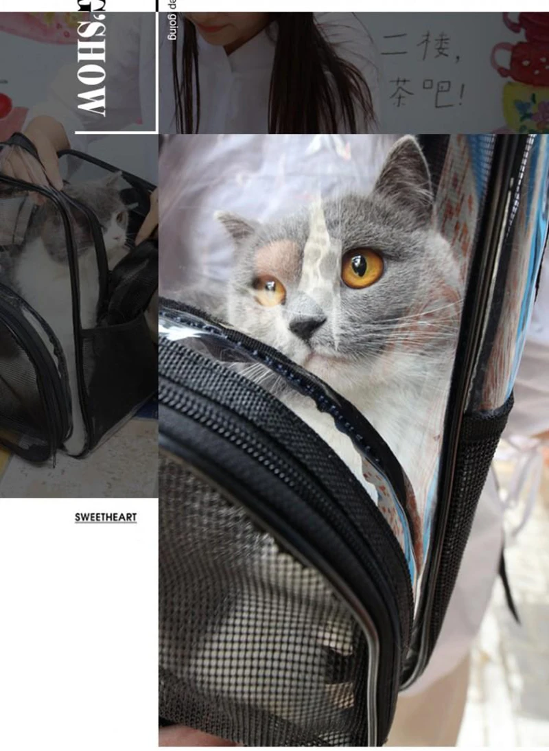 O1CN01bpyEmk2Az5CPtYtDk_!!2200741048273