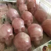 Natural Rose Quartz Crystal Hand Carved Skull Carving Reiki Healing Skulls For Decorate 6