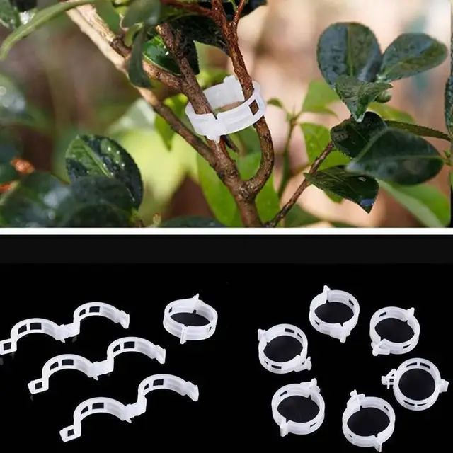 100pcs