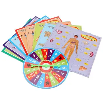 

Kids Human Body Structure Puzzles Kits Training Montessori Educational Toy Human Body Struction Cognitive Learning Puzzle Toys