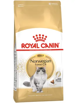 

ROYAL CANIN ROYAL CANIN NORWEGIAN FOREST CAT ADULT adult Norwegian Forest Cat