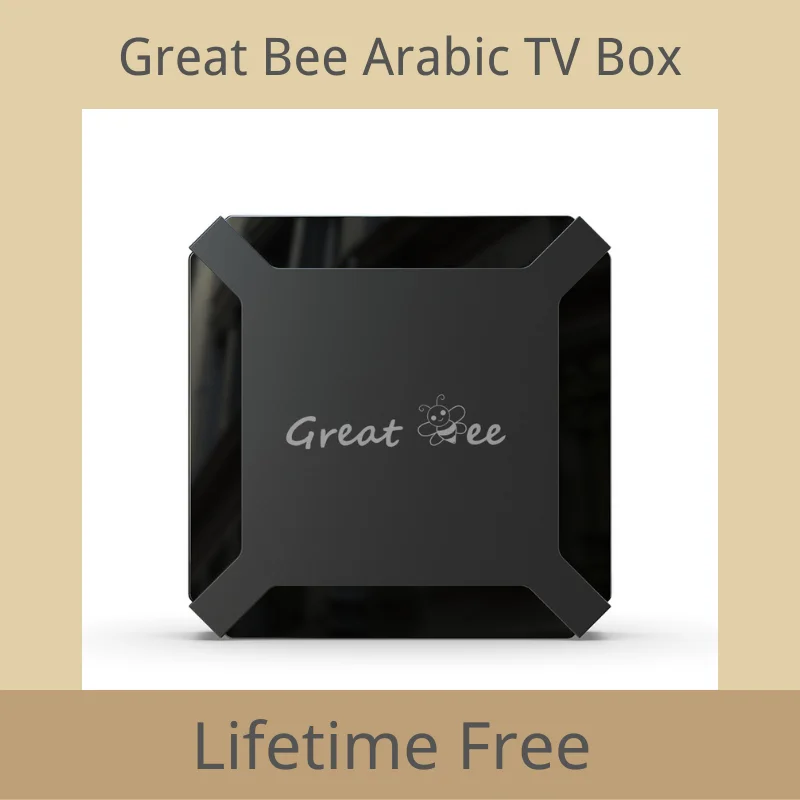 Hot Selling Great Bee Arabic TV Box Android 10 Smart TV Box Lifetime