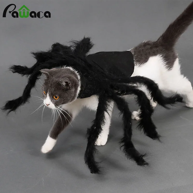 

Cat Dog Halloween Spider Pet Dress Up Spider Wing Clothes Cosplay Pet Costume for Puppies Cats Christmas Halloween Bat Role Play
