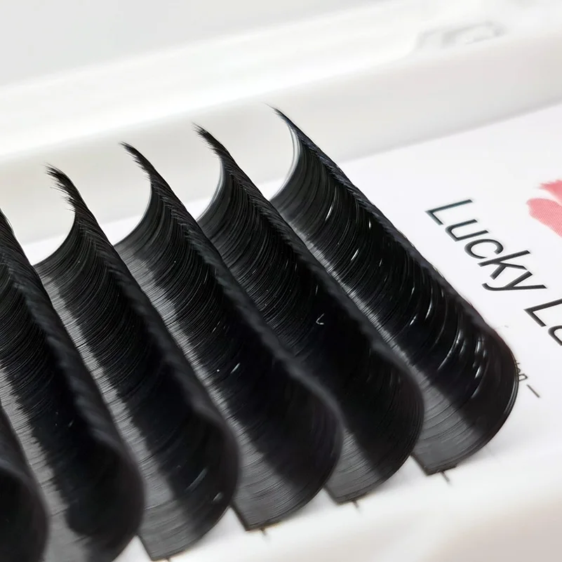 Lucky Lash 1's Blossom Easy Fan Eyelash Extension Individual Mink Auto Flowering False Eyelashes Camellia Volume Fan Lashes Lucky Lash 1's Blossom Easy Fan Eyelash Extension Individual Mink Auto Flowering False Eyelashes Camellia Volume Fan Lashes