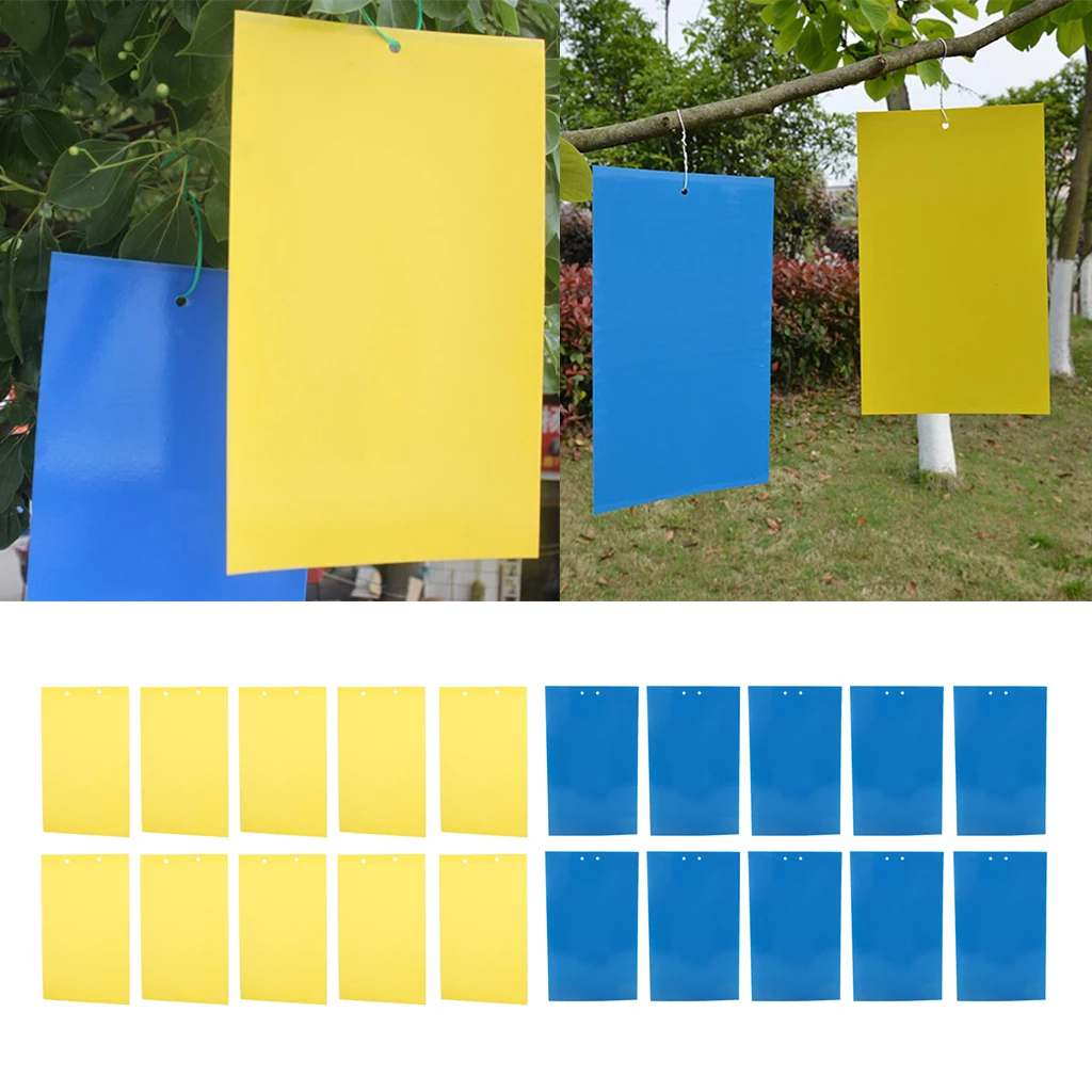 10PCS Sticky Trap Fruit Fly and Fungus Gnat Trap Killer Indoor and Outdoor, Protect Plants, Non-Toxic and Odorless