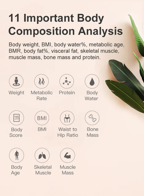 Fitday Electronic Body Fat Scale Instruction Manual