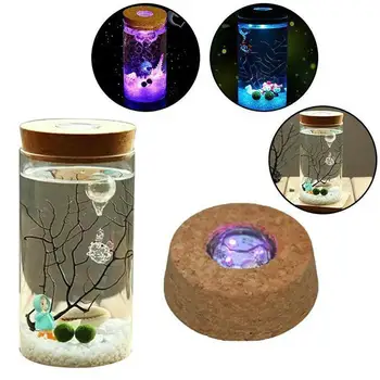 

Straight Glass Bottle Room Home Night Light Ecology Box Lamp NEW Romantic Micro Landscape