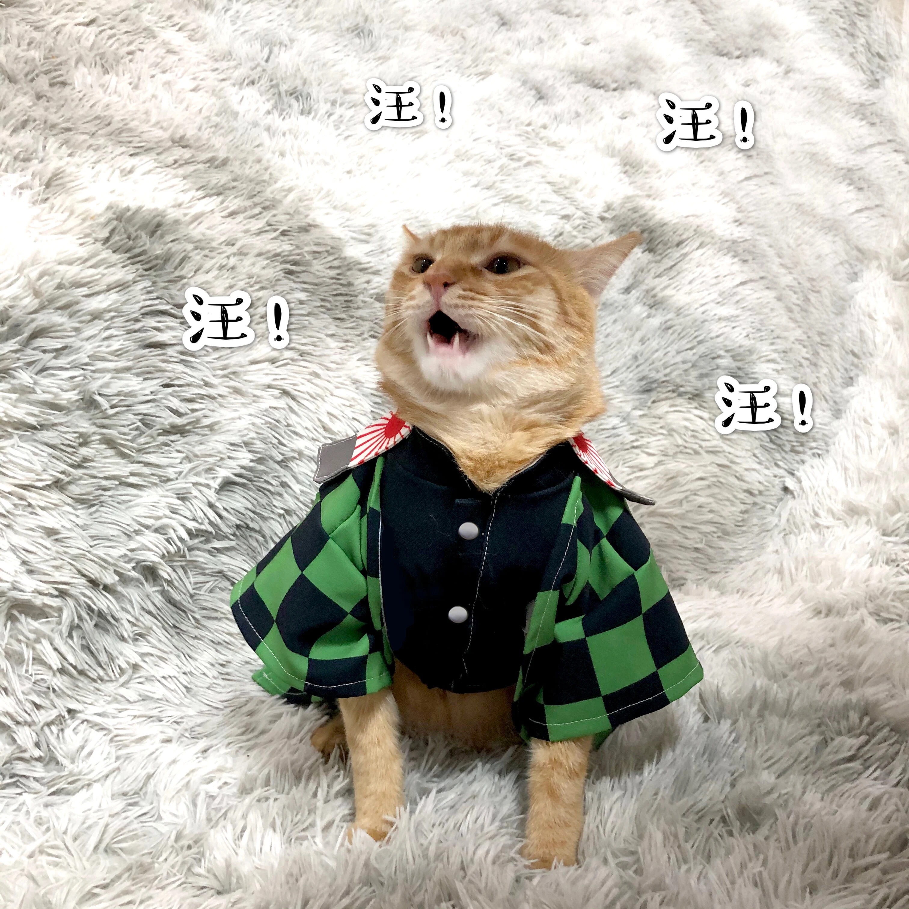 Костюм-накидка для косплея «Demon Slayer Kimetsu No Yaiba Cats Kamado Tanjirou Nuzuko Tomioka Giyuu Kochou Shinobu Agatsuma Zenitsu»