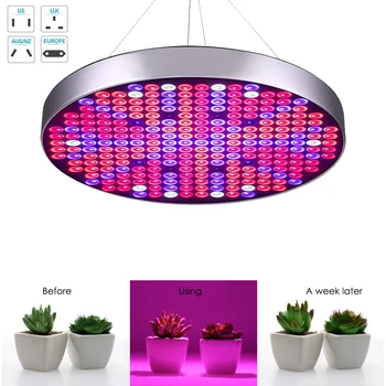 

50W Round UFO Light 250LEDs Succulent Plants Light Flowers Vegetable Growth