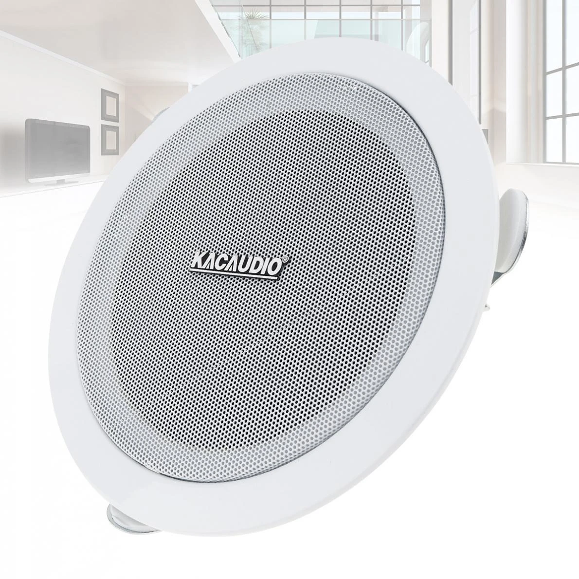 speaker with microphone input