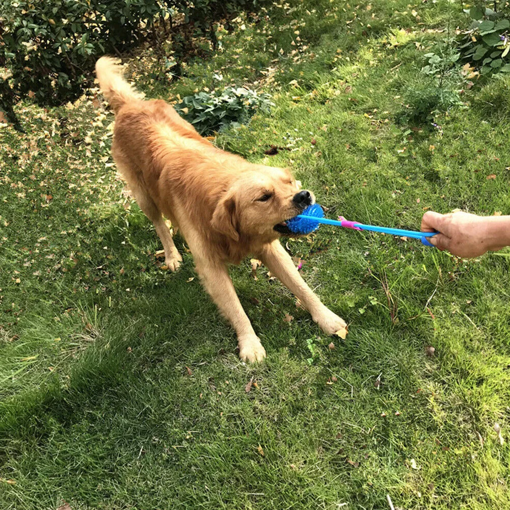 Pet Fresh Breath Dog Bite Ball Soft Garden Interactive Stretchable Non Toxic Cleaning Teeth Training Molar Toy Multifunction