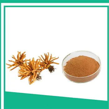 

1000g Cordyceps sinensis extract powder type vitamins resist fatigue whitening immunity Cordyceps polysaccharide 10%