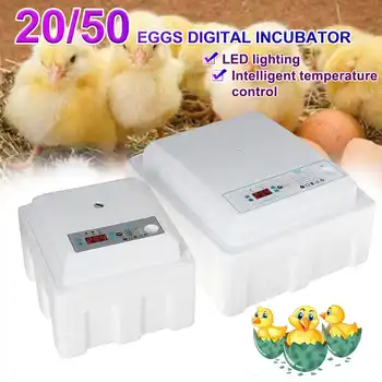 

Incubation Box Egg Digital Incubator Automatic Suitable for Hatching Snake Lizards Reptiles Reptile Egg Box Reptile Breeding Box