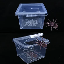 Feeding Box,Reptile Cage Hatching Container,Rearing Tank,Insect Rearing Box,Food Feeding,Spider Beetle Insect House,Hatching Con