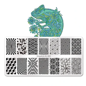 

2020 New Designs Flower Leaves Design Image Nail Art Stamp Stencils Geometric Nail Stamping Plates Manicure Templates Tools