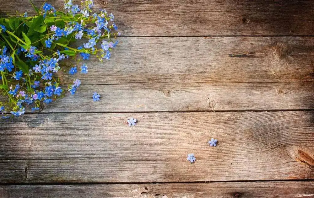 

SHUOZHIKE Vinyl Custom Photography Backdrops Wood Planks flower Photo Studio Props Photography Background J19511-107