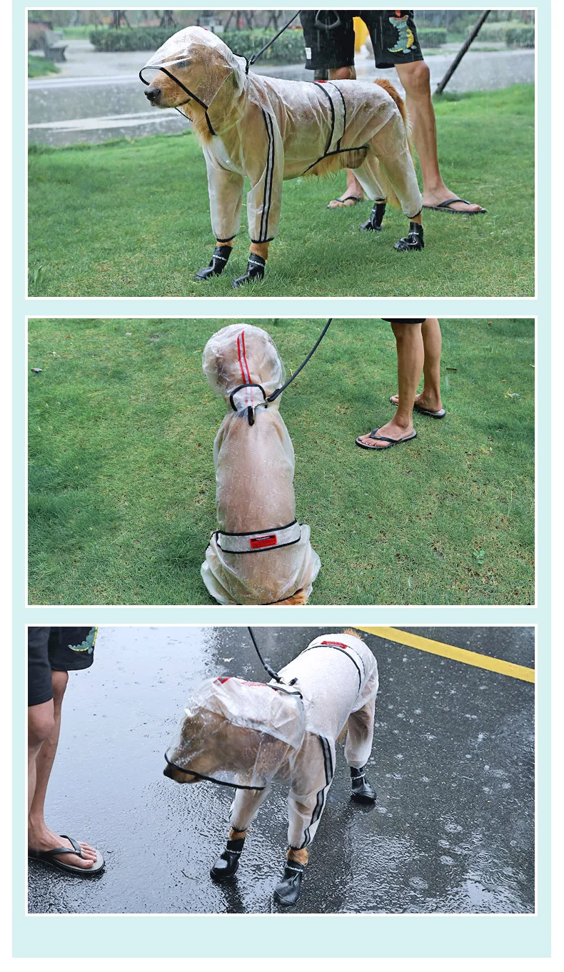 Capas de chuva para cães