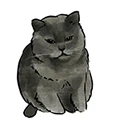 LY wall stickers Store