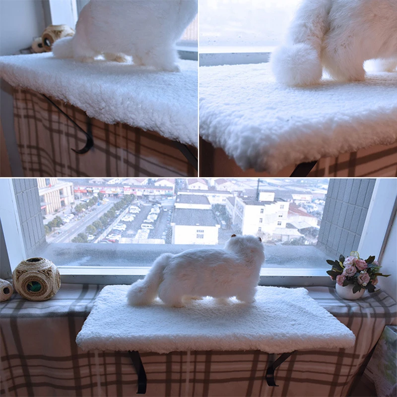 10365228971_483701537