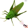 EBOYU RC Grasshopper Remote Control Grass Hopper Animal Toy Electronic Locust Fake Insect Car Vehicle Kids Birthday Gifts 1