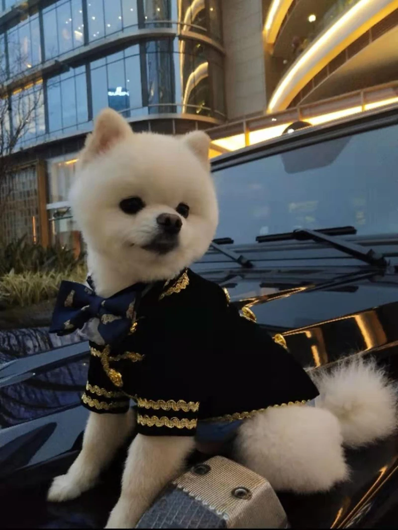 Macho Ropa Para Perros Pomerania Accesorios Navidad Perro Disfraz