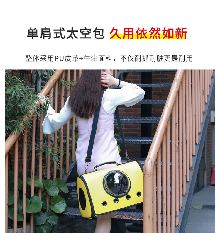 10867092893_345777210