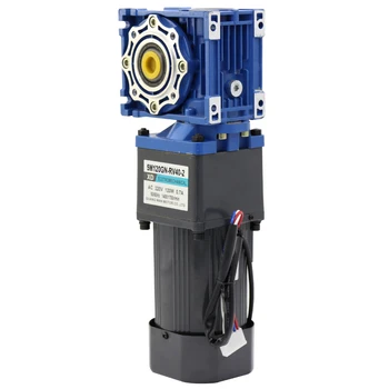 

120W Adjustable Speed Forward and Reverse Motor Motor Retarding Device Gear Motor Electric Machine 220V AC Motor IE 2 50/60HZ