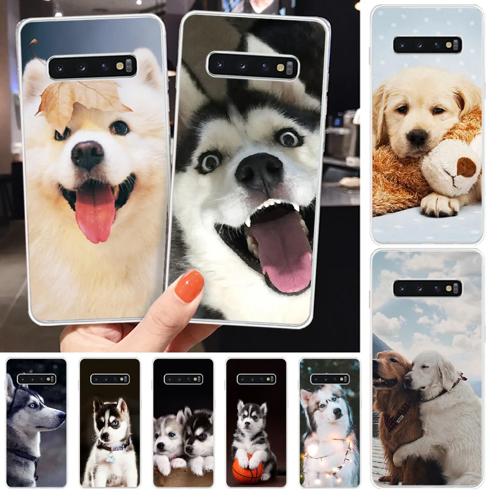 Чехол для телефона ByLoving Animal Husky cute Puppy Dog DIY Samsung S6 S7 edge S8 Plus S9 S10 plus E (lite) | Мобильные