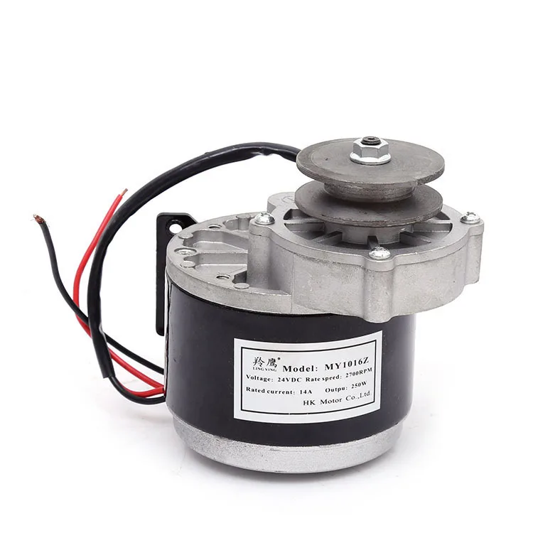 12V 24V 250W Матовый постоянного тока с постоянным магнитом Шестерни мотор MY1016Z Электрический велосипед трехколесный велосипед, фара для электровелосипеда в поясом мотор большой крутящий момент