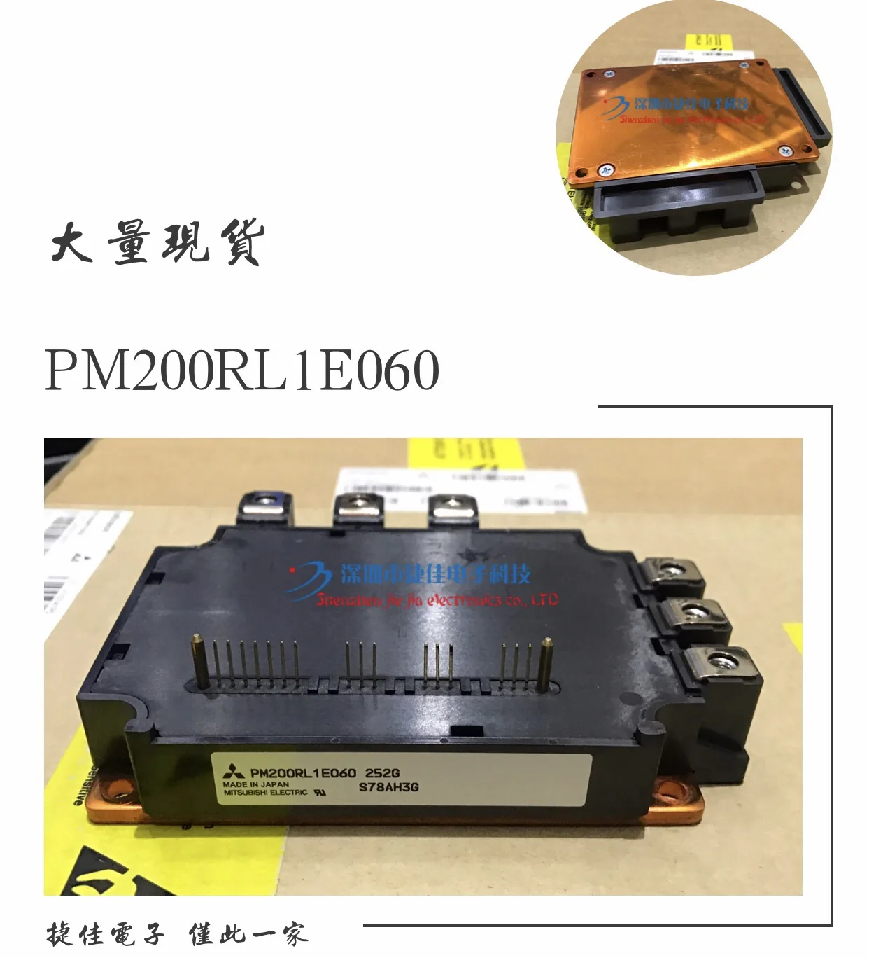 PM200RL1E060 PM200RLA060 PM200RL1A060