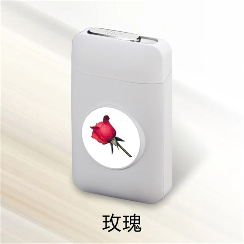 Rose Новинка, 19-pack, зарядная зажигалка+ металлический чехол для сигарет, USB зарядка, Электронная зажигалка, креативная сигаретная коробка, держатель для сигарет - Цвет: Rose