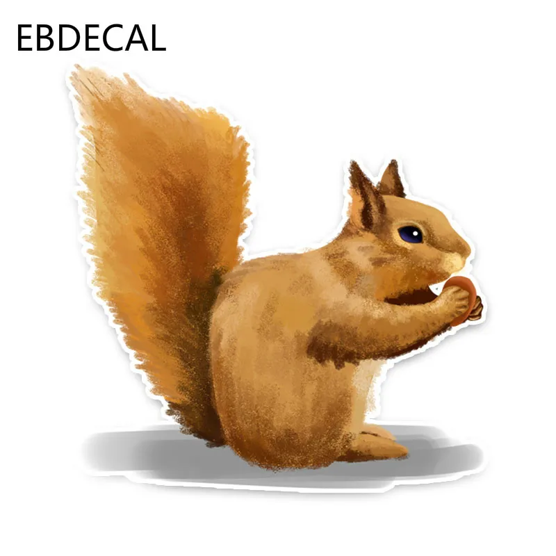 

EBdecal Cute Squirrel PVC Animal For Auto Car/Bumper/Window/Wall Decal Sticker Decals DIY Decor CT5122