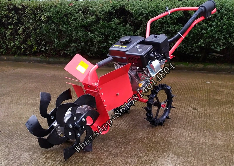 O1CN01W2GbI51xJK2HEvUk2_!!258636422