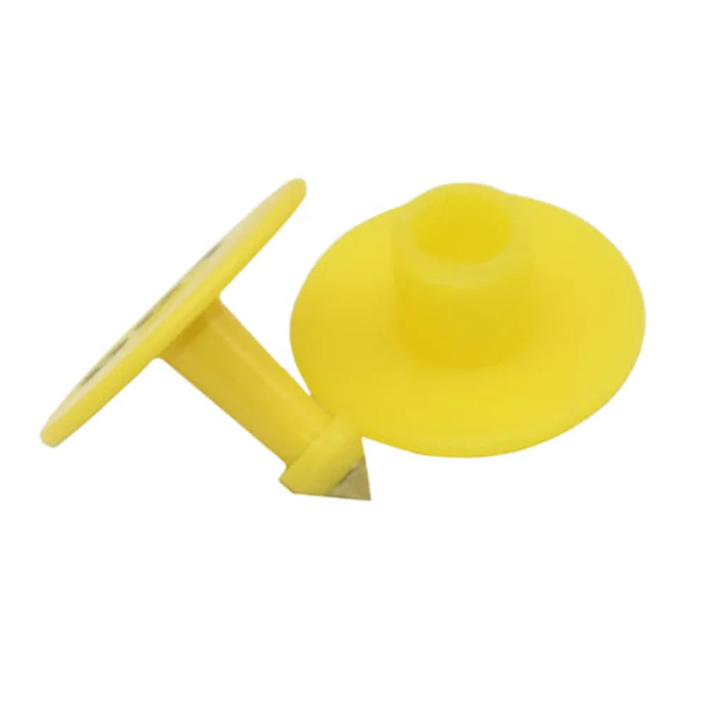 DSC_5392 - 副本 (4)