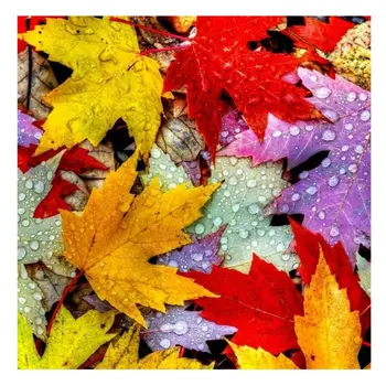 

Maple Leaves DIY 5D Full Drill Diamond Painting Embroidery Cross Stitch Crystal Q6PE