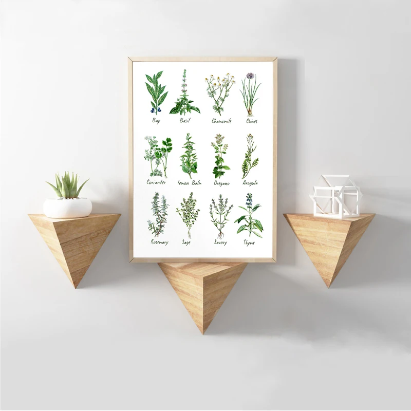 Kitchen-Art-Decoration-Botanical-Chart-Wall-Art-Canvas-Poster-Prints-Herbs-and-Spices-Painting-Picture-Herbarium