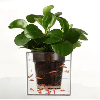 

Creative Double Use Fish Farming Flower Pot Resin Basin Automatic Irrigation System Plastic Transparent Desktop Cube Flowerpot