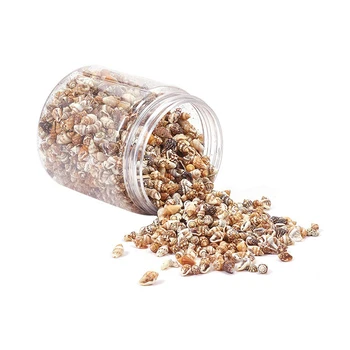 

Tiny Sea Shell Ocean Beach Spiral Seashells Craft Charms Home Decoration Beach Theme Wedding Party Decor Vase Fish Tank Filler