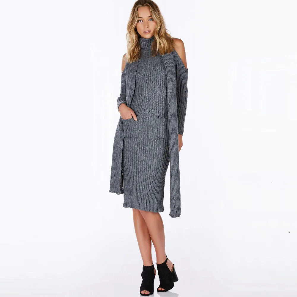 

Women Fashion Sweaters Turtleneck Long Sleeve Sweater Jumper Solid Gray Bodycon Sweater Dress Kntting Long Tops