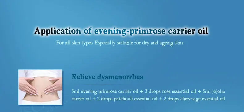 evening-primrose_07