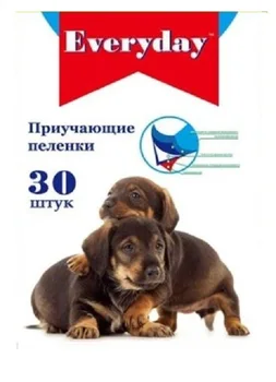 

EVERYDAY EVERYDAY gel absorbent diaper for pets, 60 x 60 cm